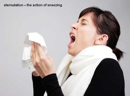 sternutation the action of sneezing