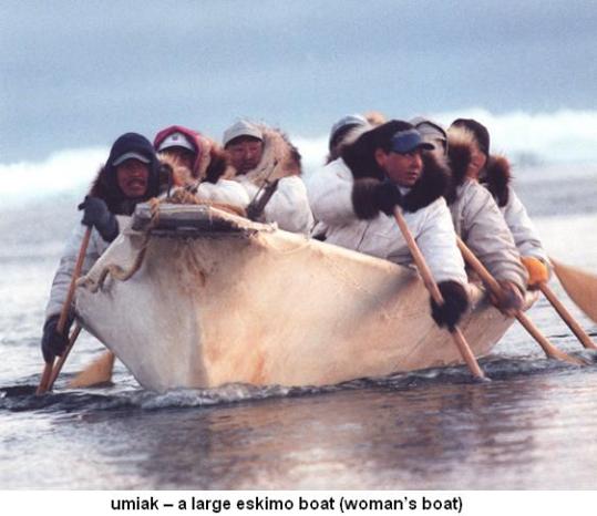 Umiak large eskimo boat womans