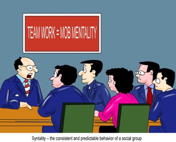 Syntality the consistent and predictable behavior of a social group
